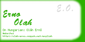 erno olah business card