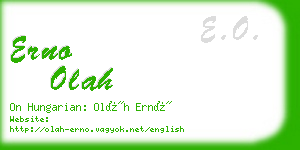 erno olah business card